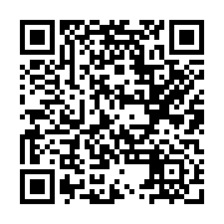QR code for YUN313