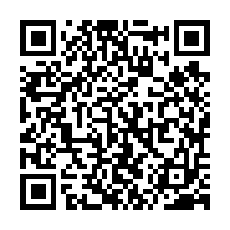 QR code for YUZ613