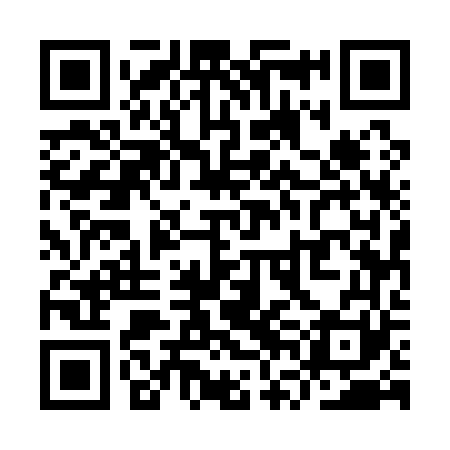 QR code for YVE161