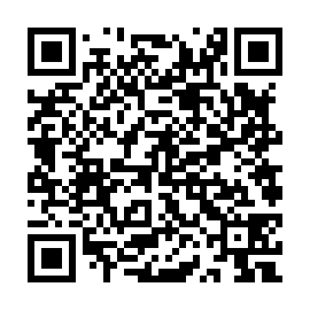 QR code for YVF838