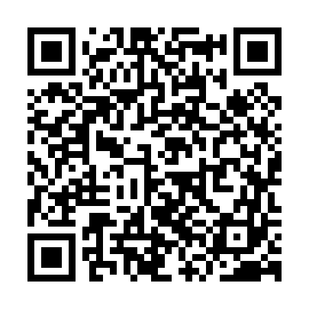 QR code for YVK063