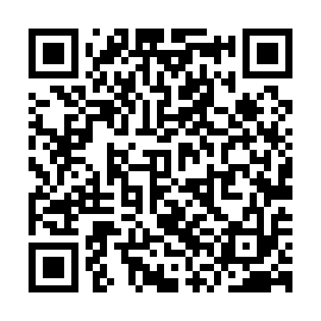 QR code for YVL113