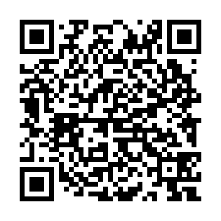 QR code for YVL338
