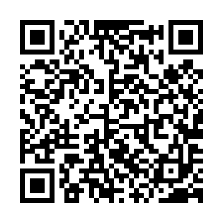 QR code for YVL493