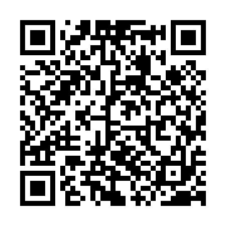 QR code for YVM013