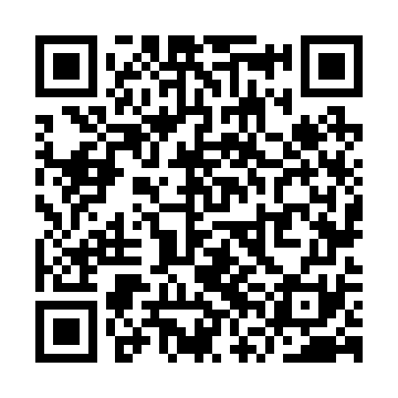 QR code for YVN271