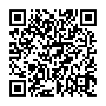 QR code for YVN919