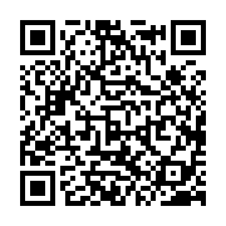 QR code for YVP919