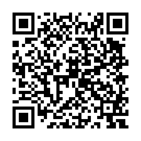 QR code for YVQ481
