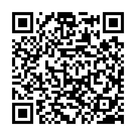 QR code for YVR738