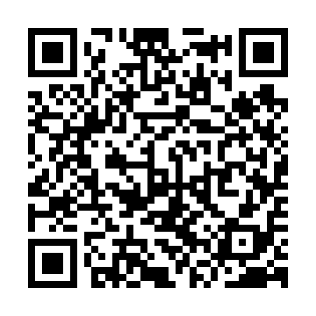 QR code for YVS618
