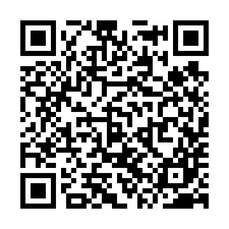 QR code for YVS687