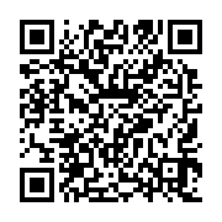 QR code for YXI313