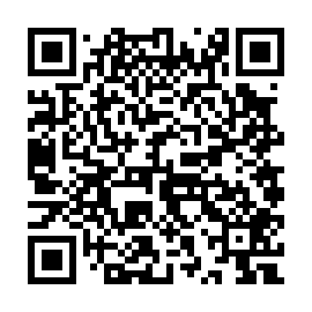 QR code for YXV009