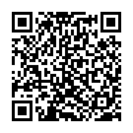 QR code for YXV295