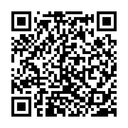 QR code for YXW338
