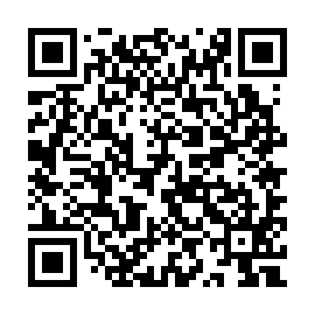 QR code for YYE395