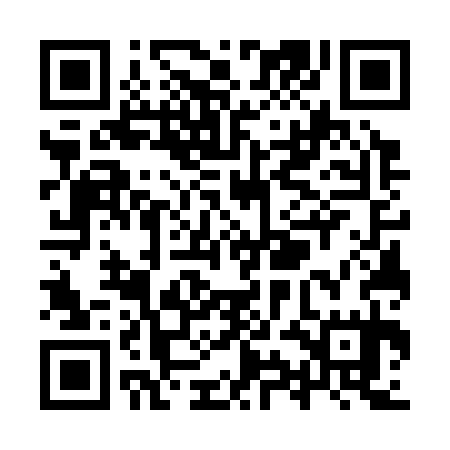 QR code for YYG335
