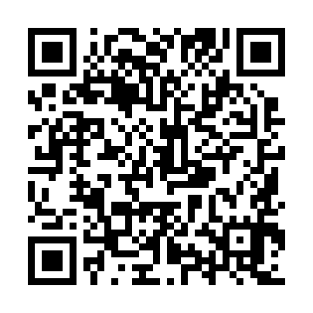QR code for YYI295