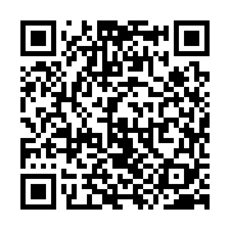 QR code for YYI369