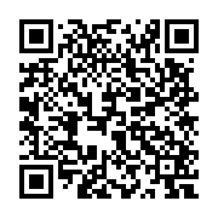 QR code for YYK541