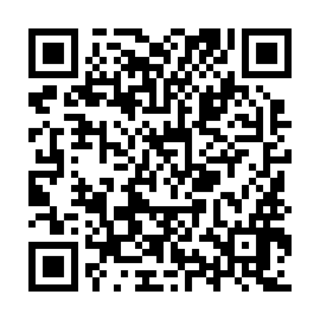 QR code for YYL296