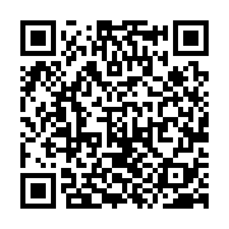 QR code for YYL379