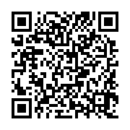 QR code for YYL387