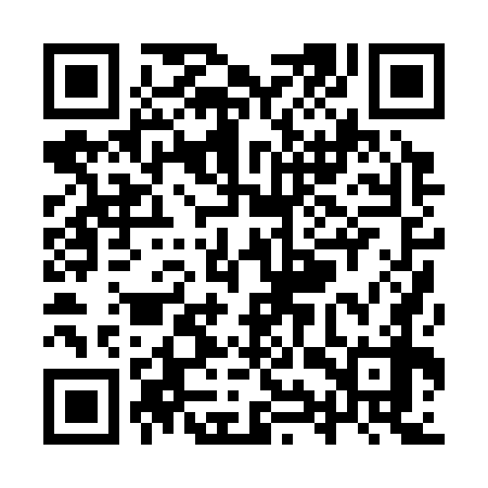 QR code for YYP378