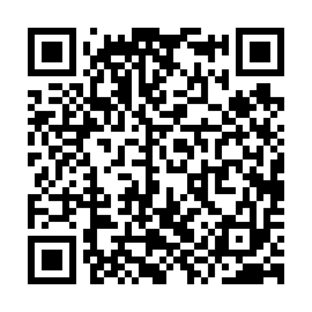 QR code for YYP613