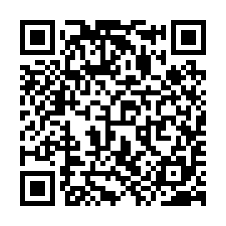 QR code for YYS295