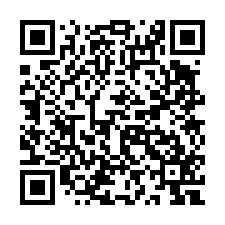 QR code for YYS417
