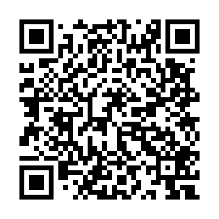QR code for YYS509