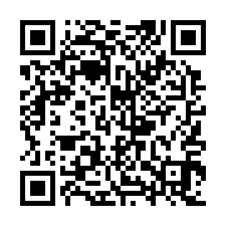 QR code for YYT311