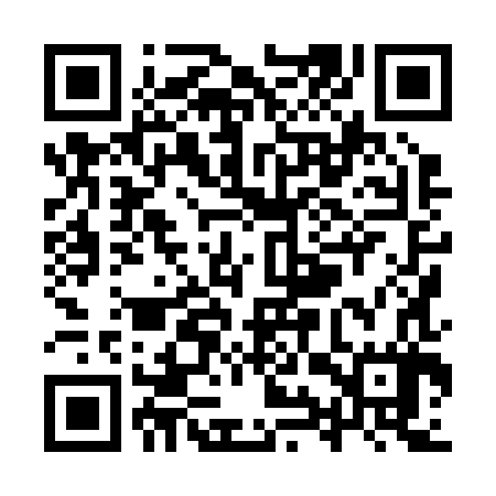 QR code for YYX287