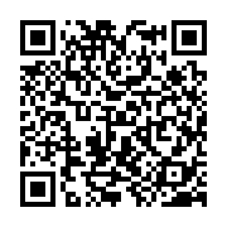 QR code for YYY338