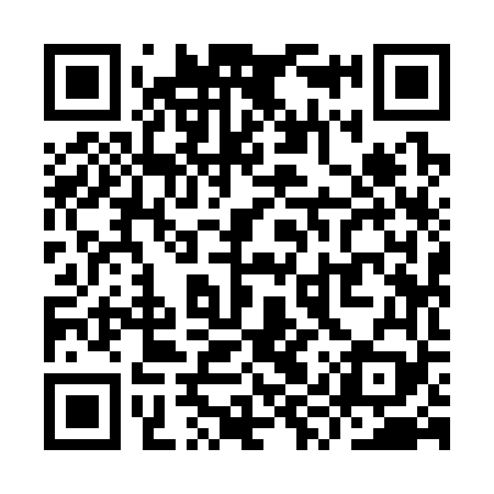 QR code for YYY369