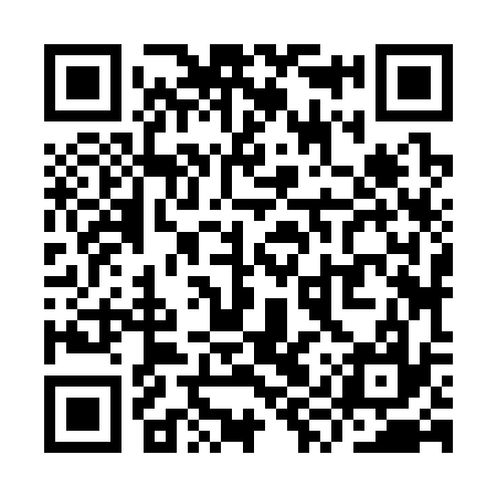 QR code for YYZ337