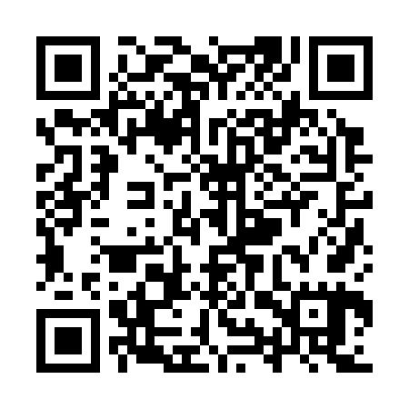 QR code for YYZ365
