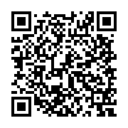 QR code for YYZ594