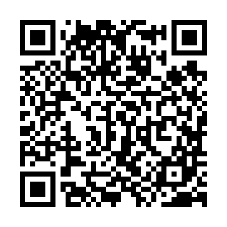 QR code for YYZ687
