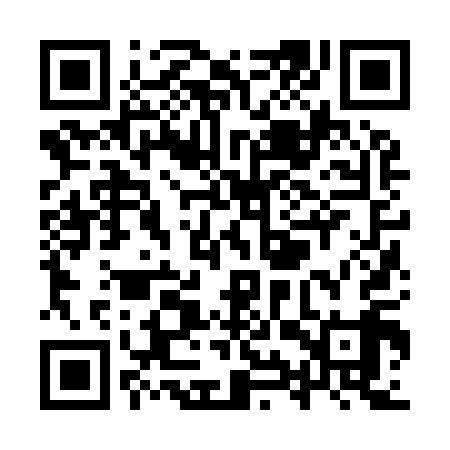 QR code for YYZ919