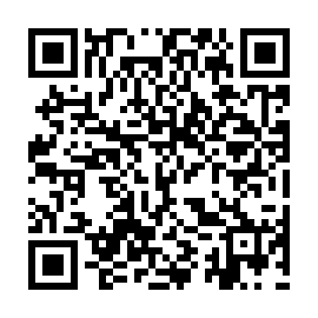 QR code for YYZ920