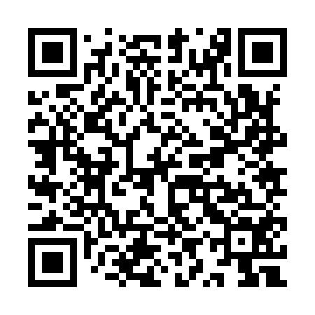 QR code for YYZ954