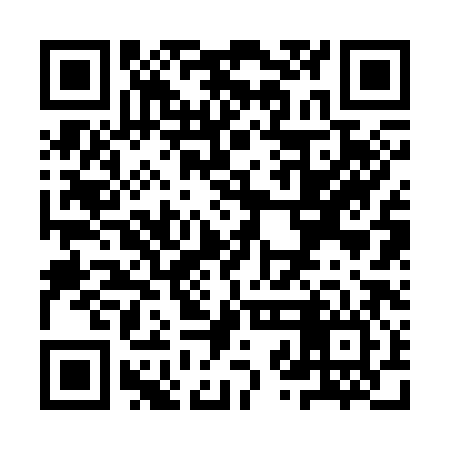 QR code for YZB386