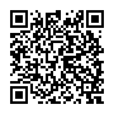 QR code for YZD382