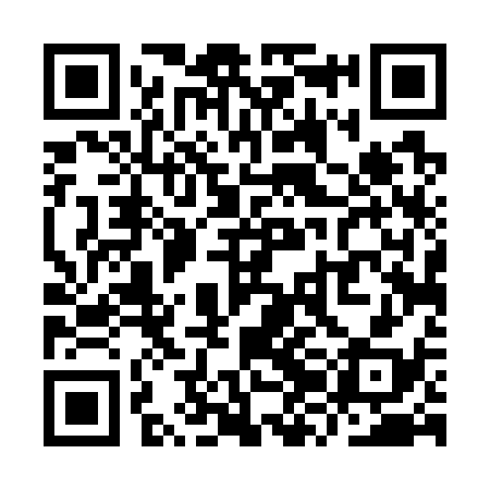 QR code for YZD738