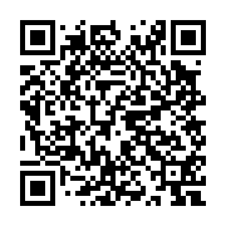 QR code for YZG010