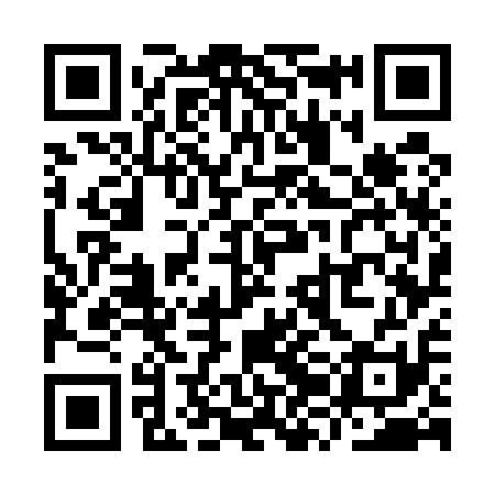 QR code for YZG511