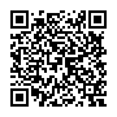 QR code for YZG811
